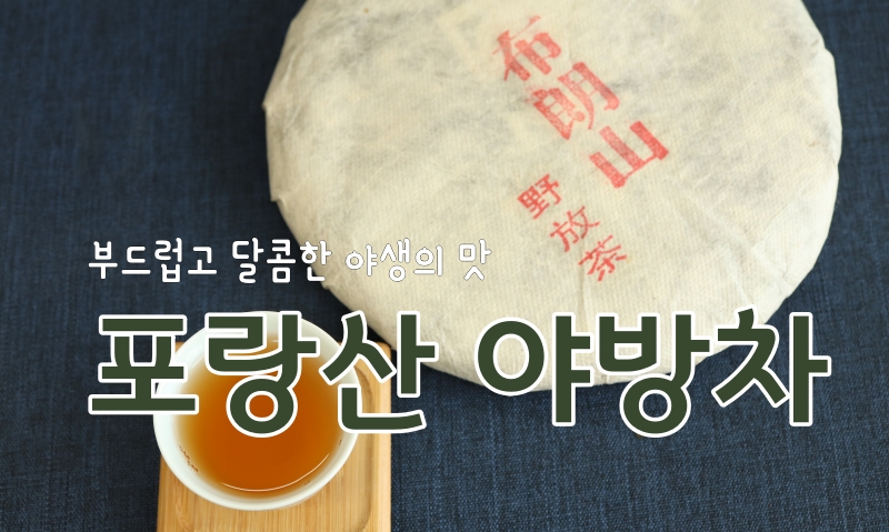 2016년 포랑산 야방차